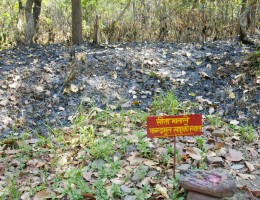 Kitchen of Devi Sita