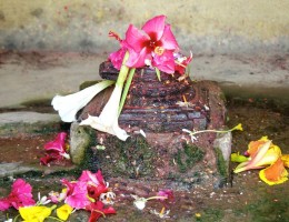 Shiva Linga at Bindyabashini Temple