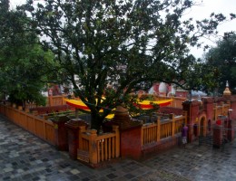 Budhanilkantha Temple