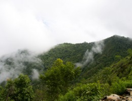 On the way to Ichhakamana Devi, Chitwan