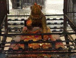 Mouse at the gate of Jal Binayak