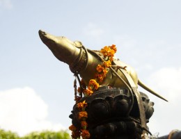 Mouse at Karya Binayak Temple