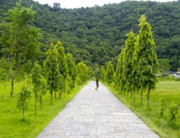 Garden of Kedareshwor Shivalaya