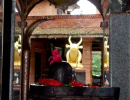 Kedareshwor Shivalaya