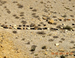 Upper Mustang 