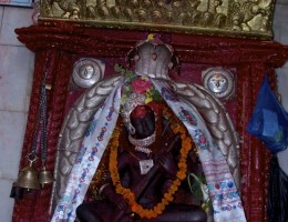 Neel Saraswati 