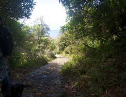 On the way to Pathibhara Temple