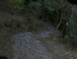 On the way to Risheshwor Temple 