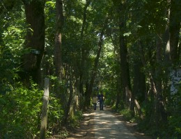 On the way to Bajrabarahi Temple 