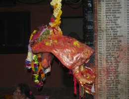 Bhat Bhateni - Balgopal