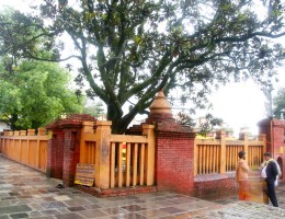 Budhanilkantha Temple