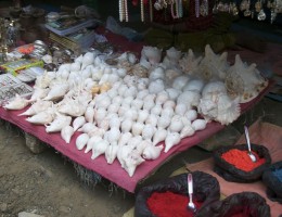 Sankha for sale at Dakshinkali Temple area