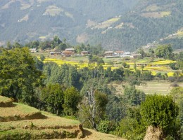 Beautiful Landscape at Dhunkarkha, Kavre