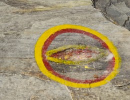 Shaligram at Galeshwor Temple