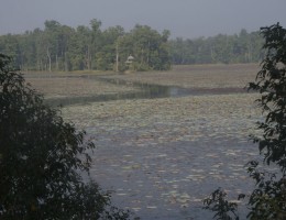 Ghodaghodi Lake