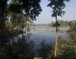 Ghodaghodi Lake