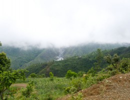 On the way to Ichhakamana Devi, Chitwan