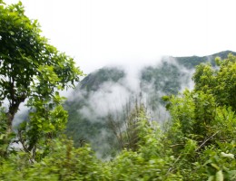 On the way to Ichhakamana Devi, Chitwan