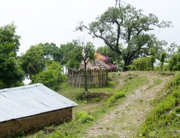 Ichhakamana Devi, Chitwan