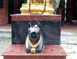 Nandi at the gate of Kedareshwor Shivalaya