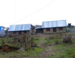 Pathibhara Temple area 