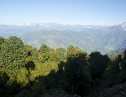 On the way to Pathibhara Temple