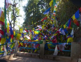 Prayer Flag of Buddhism on the way to Risheshwor Temple 