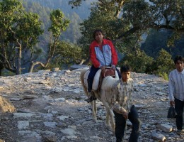 U can ride horse to reach Swargadwari from Dharmapani 20 Minutes 