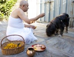 Kukur Puja .. Doing Puja of My Blackie 