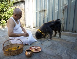 Kukur Puja .. Doing Puja of My Blackie 