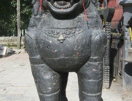 Guard at Bhadrakali Temple