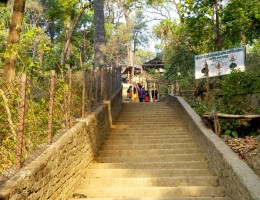 Nice stairs to reach to daunne devi