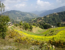 Beautiful Landscape at Dhunkarkha, Kavre