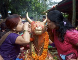Telling your wish to Nandi at Doleshwor Mahadev