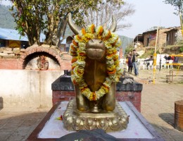 Nandi at the gate of  Doleshwor Mahadev