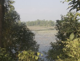 Ghodaghodi lake