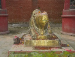 Nandi at Gokarna