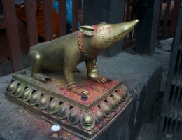 Mouse in front of Maru Ganesh