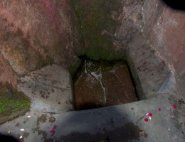Well at Risheshwor Temple 