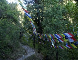 Prayer Flag of Buddhism on the way to Risheshwor Temple 