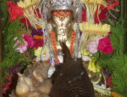 Kamaladi Ganesh during special puja